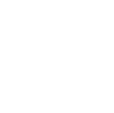 First Shot Firearm Training logo