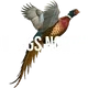 Wings North logo