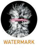 Watermark Arms logo