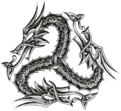 Dragon Tactical TX logo
