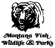 Montana Gun Gal logo