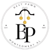 Best Pawn logo