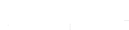 Orion Wholesale logo