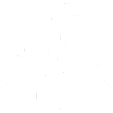 Bearly Training Company logo