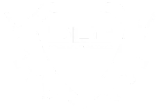 Delta Level Defense logo