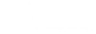 Boss Firearms Company, LLC logo