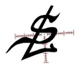 LoopHole Systems logo