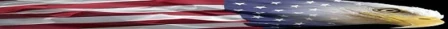 Armed Citizens Training Academy, LLC logo