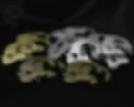 Business End Customs logo