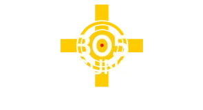 305 GUNS logo