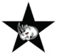 White Rhino Arms™ logo