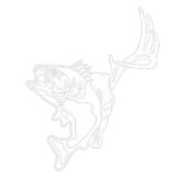 Nature's Prize logo