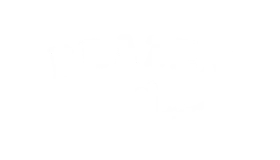 Brazen Firearms LLC logo